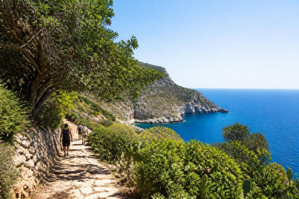 découvrez les sentiers de randonnée incontournables à malte pour explorer les paysages pittoresques et la richesse naturelle de l’île.